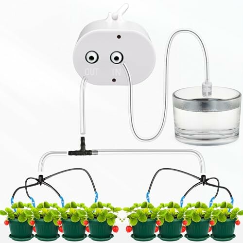 Automatic plant watering system with multiple pots connected.