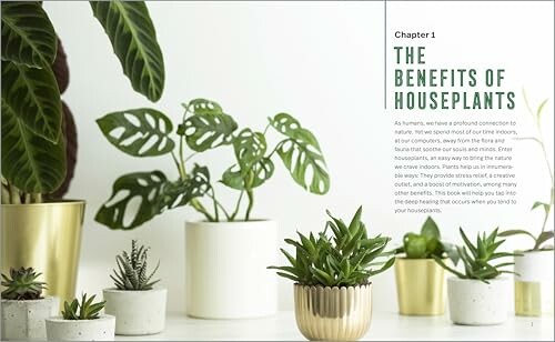 Houseplants with text about their benefits.