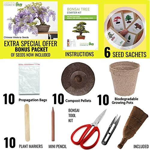 Bonsai tree starter kit with seeds, pots, and tools.