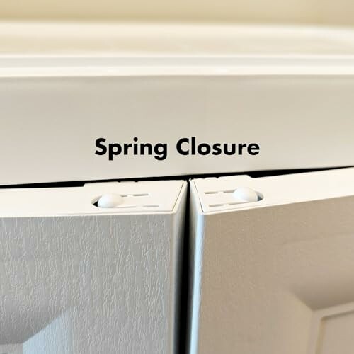 Close-up of cabinet doors with spring closure mechanism.