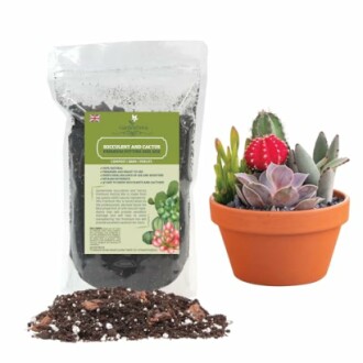 Professional Succulent Soil Premium All Purpose Blend