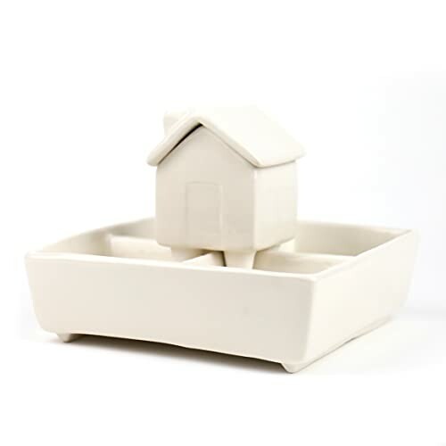 Ceramic planter shaped like a house in a tray.