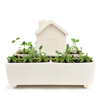 Gift Republic Self Watering House Herb Grow Kit