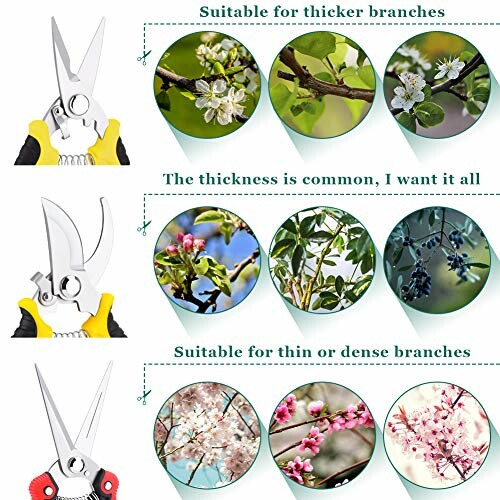 Guide for using pruning shears on different branch thicknesses with illustrated examples.