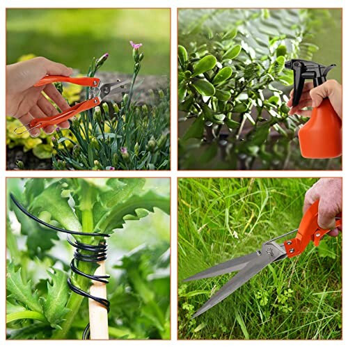 Gardening tools including pruning shears, spray bottle, plant support, and hedge shears in use.