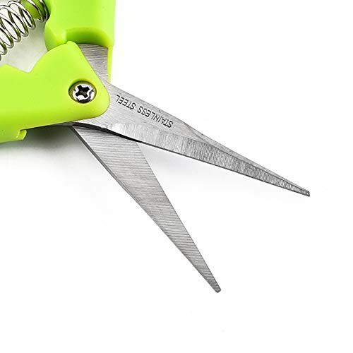 Green handled pruning shears with stainless steel blades.