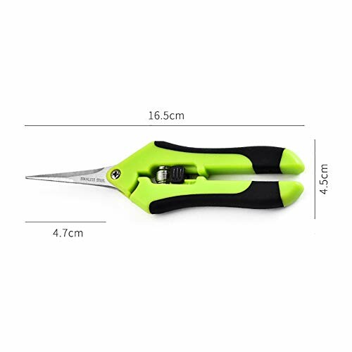 Green garden shears with measurements