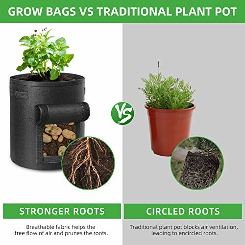 Comparison of grow bags and traditional plant pots showing root growth differences.