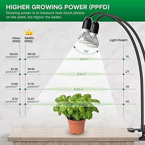 Comparison of PPFD at various heights for grow lights over a plant.