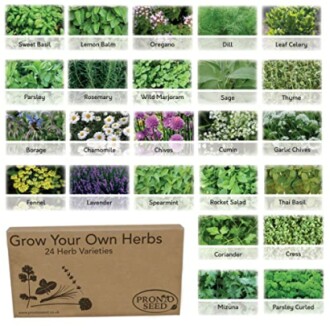 Pronto Seed Herb Bumper Pack