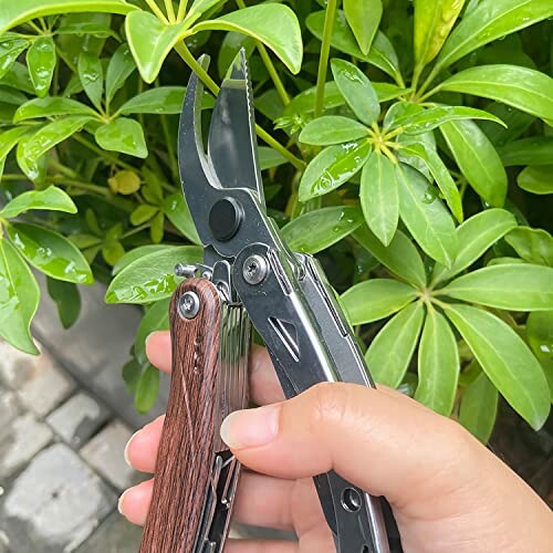 Hand holding garden shears cutting plant leaves