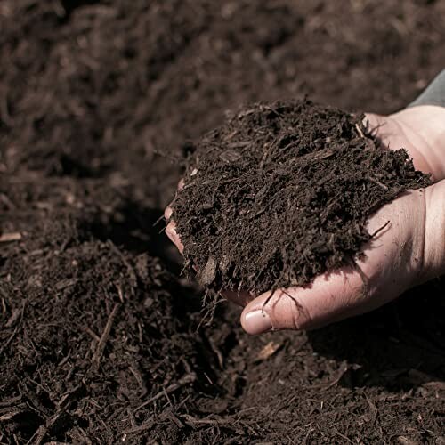 Hands holding rich, dark soil