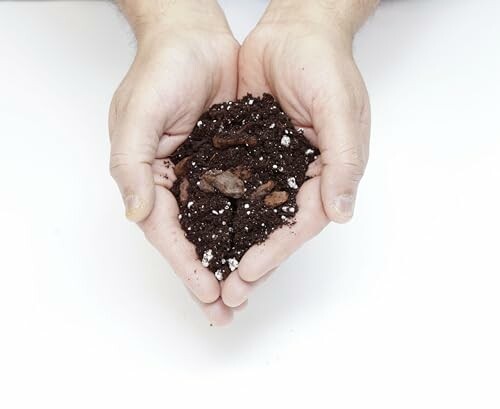 Hands holding a pile of soil.