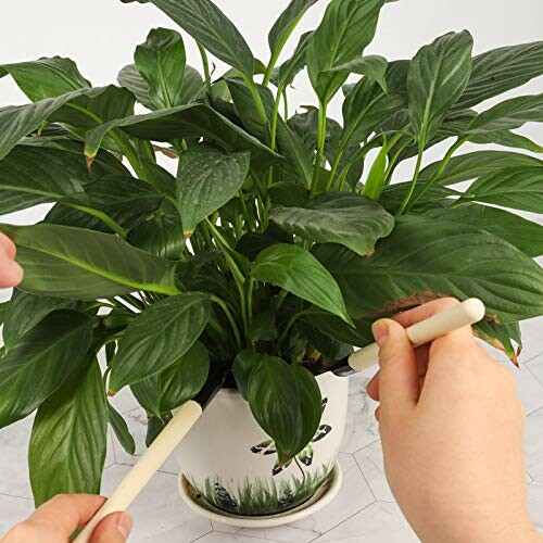 Hands using a moisture meter on a potted houseplant.