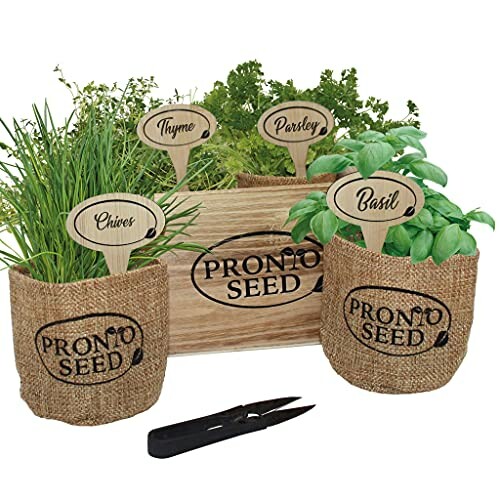 Herb garden kit with chives, thyme, parsley, and basil in burlap pots.