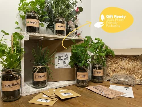 Indoor Herb Garden Kit