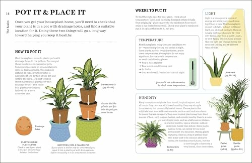 Houseplant care guide with tips on potting, placement, and conditions.