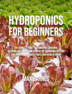 Hydroponics for Beginners