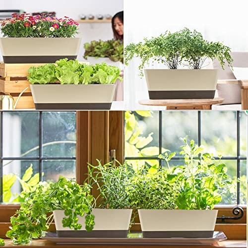 Indoor garden planters with herbs and flowers by a window.