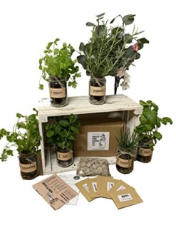 Indoor herb garden kit with various potted herbs and seed packets.