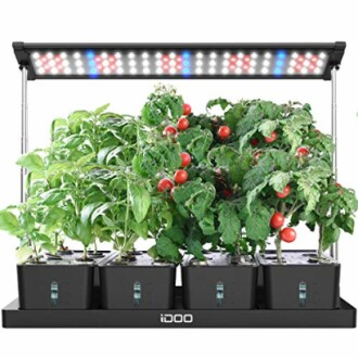 Indoor hydroponic garden with LED grow lights and tomato plants.