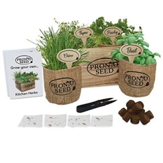 Pronto Seed Grow Your Own Kitchen Herbs Kit