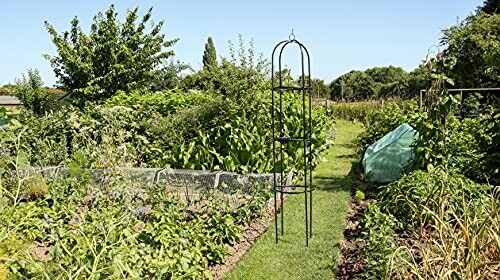 Path through a lush vegetable garden with greenery and a metal trellis.