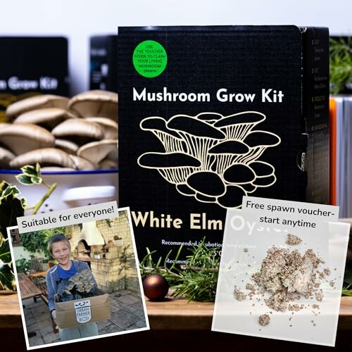 Mushroom grow kit with white elm oyster mushrooms and free spawn voucher.