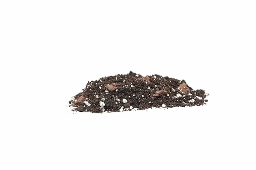 A small pile of soil on a white background.