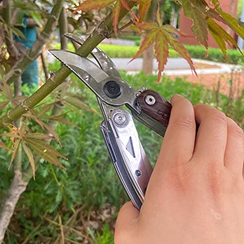 Person using pruning shears to cut a tree branch