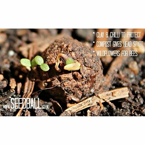 Close-up of a seedball with small sprouts and text about benefits for bees.