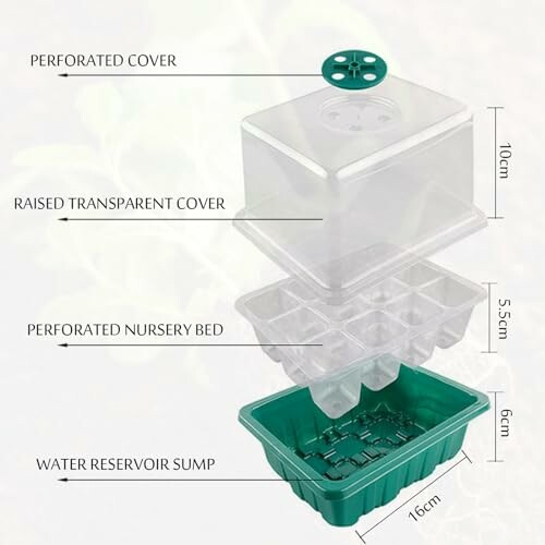 Transparent seedling tray with perforated cover and water reservoir sump.