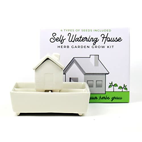 Self watering house herb garden grow kit with a small house planter.