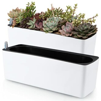 Skelang Self Watering Planter