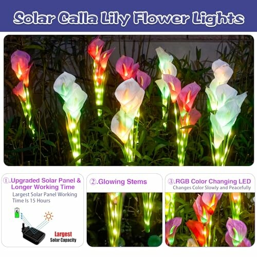 Colorful solar calla lily flower lights with glowing stems and RGB LEDs.