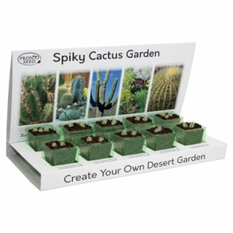 Pronto Seed Grow Your Own Cactus Kit