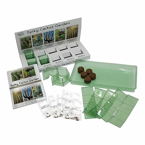 Spiky Cactus Garden kit with seeds, pots, and growing medium.