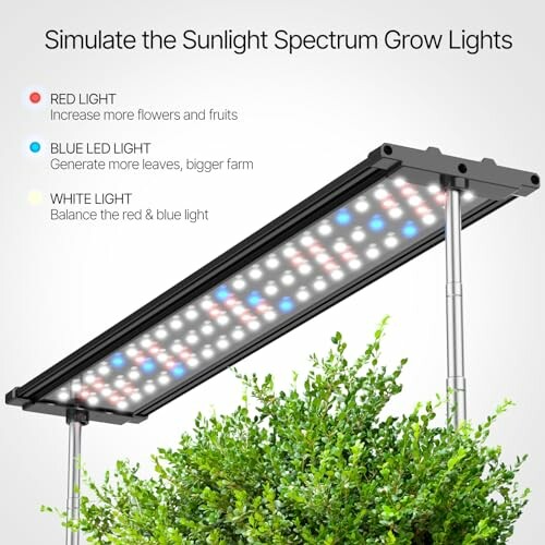 LED grow light with red, blue, and white lights over green plants.