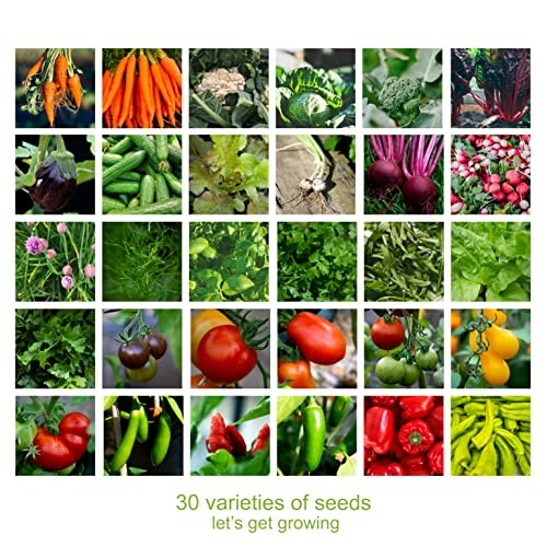 Collage of 30 vegetable seed varieties including carrots, lettuce, tomatoes, and peppers.