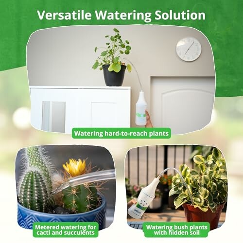 Collage showing versatile watering solutions for hard-to-reach plants, cacti, and bush plants.