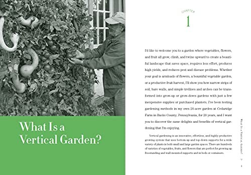 Person tending to a vertical garden with large gourds and plants.