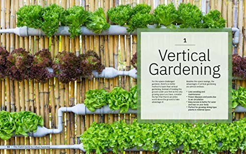 Vertical gardening setup with leafy greens in wall-mounted planters.